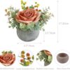 Artificial Flowers Kit with Pot, Combination of Fake Silk Orange Roses and Greenery,Small Plant Potted Decor for Offices,Bookshelf,Bedroom, Living Room,Party,Wedding Decorations…