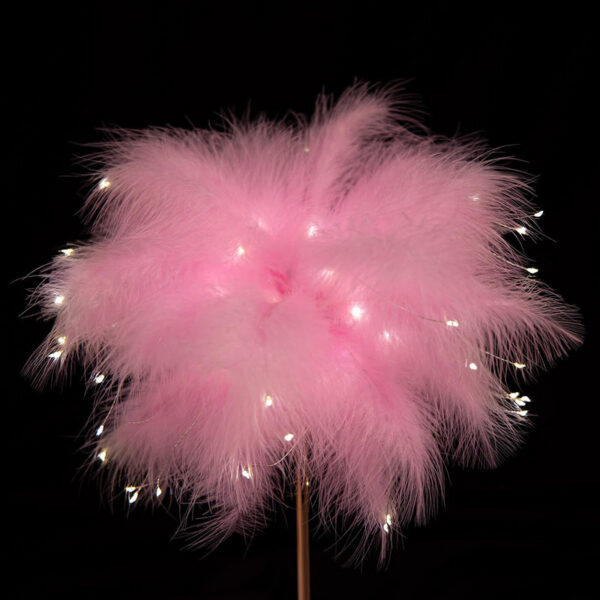 587930a03a5ff7b8 Feather Desk Rechargeable Creative Remote Control Lamp Versatile Warm White for Party Wedding Christmas Decor