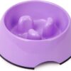 Super Design Slow Feeder Dog Bowl, 1 Cup, Nonslip, Heat-Resistant, Sturdy, Suitable for Small to Medium Sized Dogs
