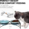 592e696dcf8318ed FOREYY Elevated Cat Bowls with 2 Ceramic Bowls and 2 Stainless Steel Bowls,Raised Cat Food Water Bowl with Iron Stand,Porcelain Pet Dishes for Cats and Small Dogs,16 Ounces,Dishwasher Safe(Gray)