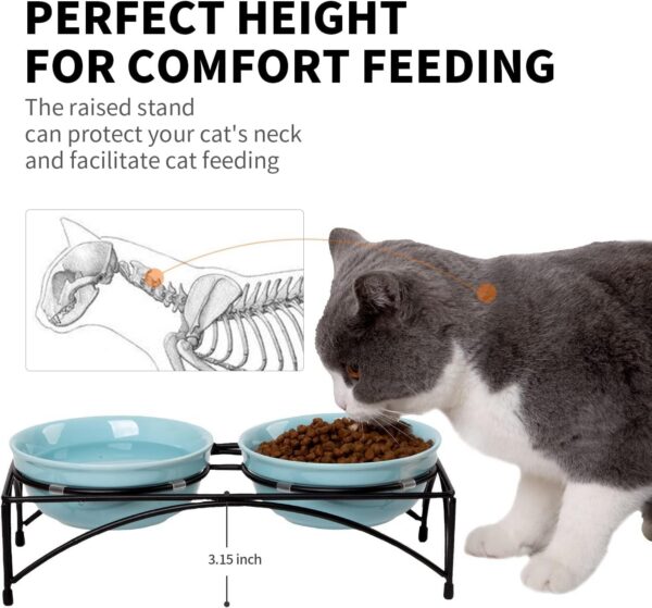 592e696dcf8318ed FOREYY Elevated Cat Bowls with 2 Ceramic Bowls and 2 Stainless Steel Bowls,Raised Cat Food Water Bowl with Iron Stand,Porcelain Pet Dishes for Cats and Small Dogs,16 Ounces,Dishwasher Safe(Gray)