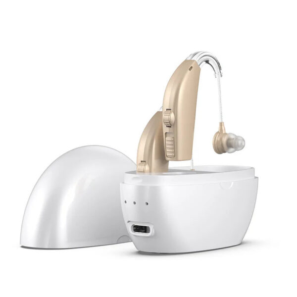 Rechargeable Hearing Aid Wireless Portable BTE Elderly Hearing Aids Magnetic Charging Sound Amplifier Free Shipping