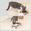 5b9a25e215983b2f FOREYY Elevated Cat Bowls with 2 Ceramic Bowls and 2 Stainless Steel Bowls,Raised Cat Food Water Bowl with Iron Stand,Porcelain Pet Dishes for Cats and Small Dogs,16 Ounces,Dishwasher Safe(Gray)