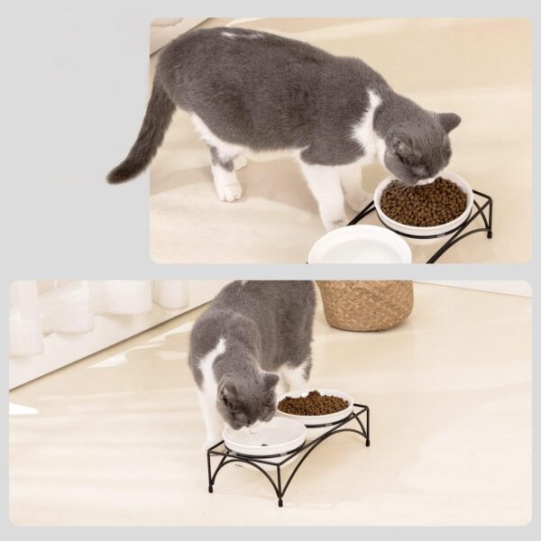5b9a25e215983b2f FOREYY Elevated Cat Bowls with 2 Ceramic Bowls and 2 Stainless Steel Bowls,Raised Cat Food Water Bowl with Iron Stand,Porcelain Pet Dishes for Cats and Small Dogs,16 Ounces,Dishwasher Safe(Gray)
