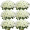 5bac4d6d389566cd 50 Pcs Artificial Rose Flower Realistic Silk Roses with Stem Bouquet of Flowers Plastic Flowers Real Looking Fake Roses for Home Wedding Centerpieces Party Decorations (Blue)