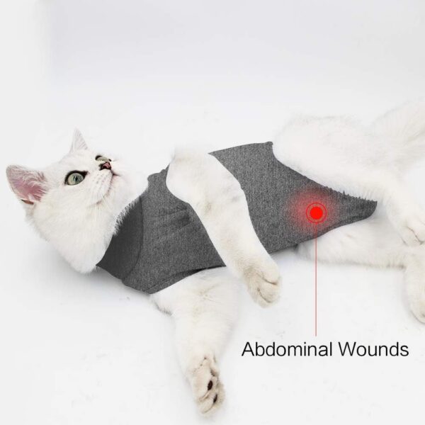 5c00f38f49e1ba33 Cat Recovery Suit for Male and Female Surgical Post Surgery Soft Cone Onesie Shirt Clothes Neuter Licking Protective Diapers Outfit Cover Kitten Spay Collar(M, Grey)