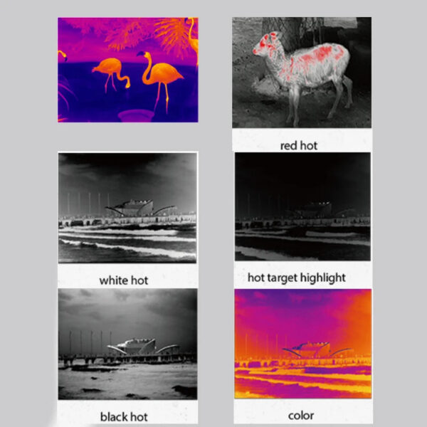 InfiRay Imager E3N /AL13 Monocular Thermal Camera for Hunting Wild Boar Wolf Rabbit and Outdoor Observation