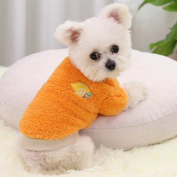 5d8bc5b3fe968fed For Warm Clothing Dogs Coat Puppy Outfit Pet Clothes for Small Dog Hoodies Chihuahua