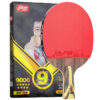 DHS 9 Star Table Tennis Racket Professional 5 Wood 2 ALC Offensive Ping Pong Racket with Hurricane Sticky Rubber