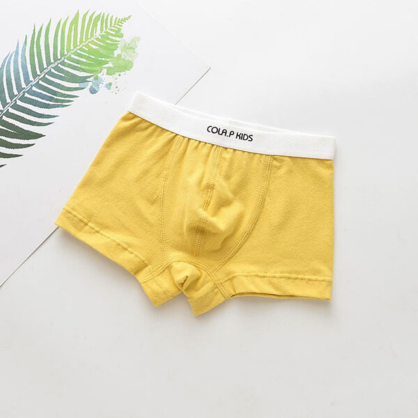 5f99f055d8e38cdc Children Boys Cotton Boxer Shorts Children's Panties Kids Underwear For 2-16 years 5 pcs