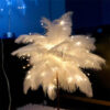 5fae1f7c39d427dc LED Feather Table Lamp Night Light USB Operated Remote Control Bedside Lamps For Home Living Room Bedroom Wedding Party Decor