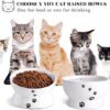 Y YHY Raised Cat Food Bowl Set, Ceramic, Tilted Elevated Bowls, 2 Bowls, 3.6 in & 3 in, White