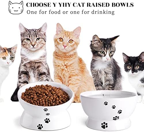 Y YHY Raised Cat Food Bowl Set, Ceramic, Tilted Elevated Bowls, 2 Bowls, 3.6 in & 3 in, White