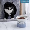 623343da904f5e32 TAMAYKIM Tilted Ceramic Raised Cat Bowls, 8 OZ Food and Water Bowls Set for Kitty, Porcelain Elevated Stress Free Feeding Pet Dish, Dishwasher and Microwave Safe, 2 Pack (White & Grey)