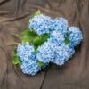 GREENTIME 13” Artificial Hydrangea Flowers Faux Hydrangea Bouquet with 7 Head 3.15” Tiny Hydrangea for Wedding Bouquet Party Home Decor DIY Baby Shower Centerpieces Tables Decoration(Blue)