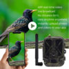 4G Tracking 4K APP Control Cloud Service 8000Mah Li-Battery Hunting Camera Cam NightVision 120° Detection Wildlife came