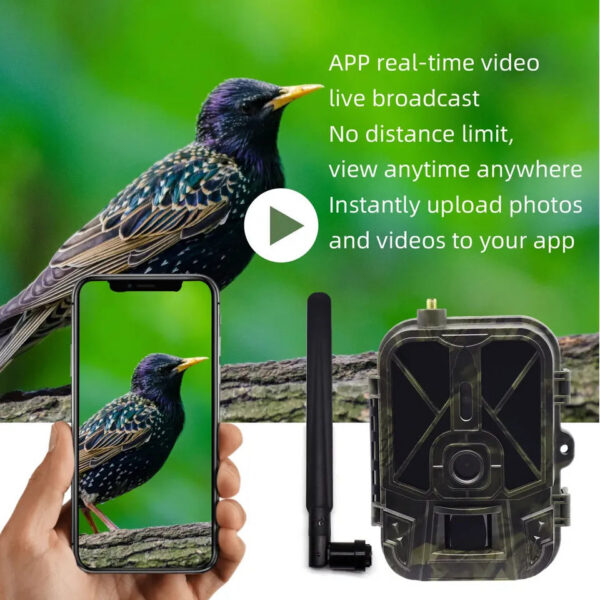 4G Tracking 4K APP Control Cloud Service 8000Mah Li-Battery Hunting Camera Cam NightVision 120° Detection Wildlife came