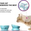 Y YHY Raised Cat Food Bowl Set, Ceramic, Tilted Elevated Bowls, 2 Bowls, 3.6 in & 3 in, White