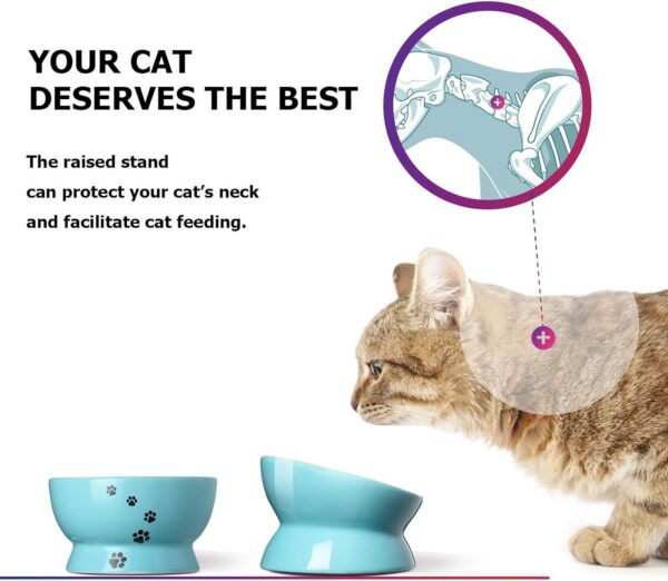 Y YHY Raised Cat Food Bowl Set, Ceramic, Tilted Elevated Bowls, 2 Bowls, 3.6 in & 3 in, White