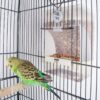 Parrot Automatic Feeder,No-Mess Bird Feeder,Cage Accessories for Budgerigar Canary Cockatiel Finch Parakeet Seed Food Container by Old Tjikko (Screw-Fixed Bird Feeder)