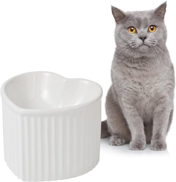 64f4a3227f4e7608 Cat Food Water Bowl Set - Raised Ceramic Cat Feeding Bowls with Non Slip Mat - Elevated Cat Dish Anti Vomiting - Whisker Friendly Wide Cat Bowl - Microwave and Dishwasher Safe - White & Pink (2pcs)