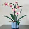 ideas Icons Bouquet Ortificial wer Orchid Potted Plants 10311 Building Blocks Model Brick Moc Girls Toys DIY Mom Gift