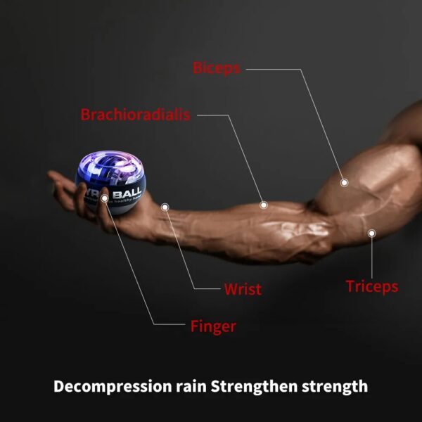 6653c99aa9bad6eb LED Trainer Auto-Start Gyroscopic Arm Hand Forearm Exerciser Power Wrist Gyro Ball Sport Fiess Equipment