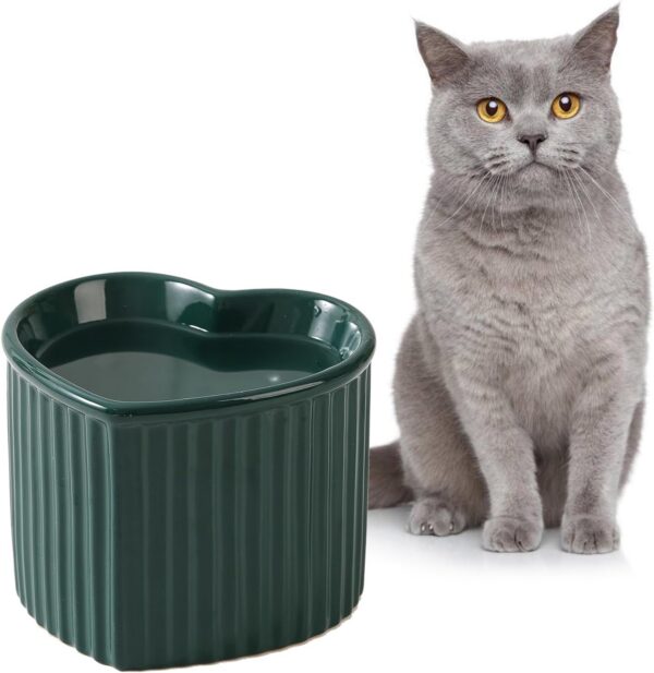 6686282b6635a79f Cat Food Water Bowl Set - Raised Ceramic Cat Feeding Bowls with Non Slip Mat - Elevated Cat Dish Anti Vomiting - Whisker Friendly Wide Cat Bowl - Microwave and Dishwasher Safe - White & Pink (2pcs)