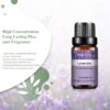 66b22dc02bc5b0bc PHATOIL 10ml Vanilla Eessential Oil for Aroma Candles Making Spa Massage Humidifier Sandalwood Black Pepper Ginger Tea Tree