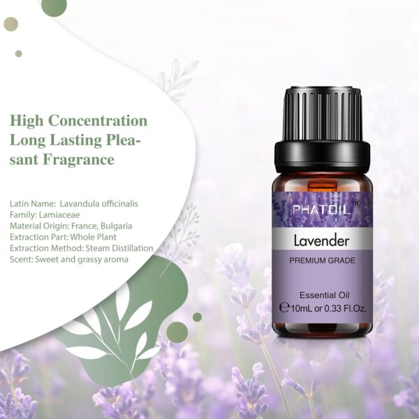 66b22dc02bc5b0bc PHATOIL 10ml Vanilla Eessential Oil for Aroma Candles Making Spa Massage Humidifier Sandalwood Black Pepper Ginger Tea Tree