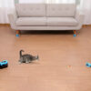 66f2bdcc5b496edf Toys Cats Interactive Wheel Exerciser New Cat Treadmill for Indoor Adjustable Speed Simulated Hunting Toy