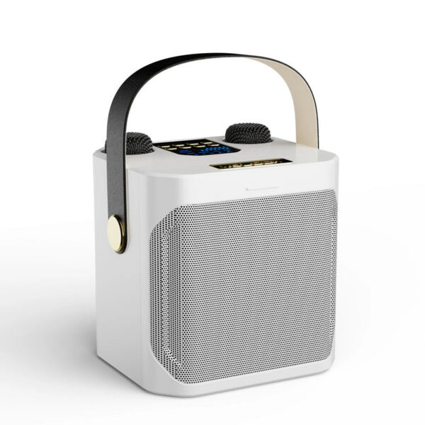670fc77370e74a07 High Power Karaoke Bluetooth Speaker Portable 360 Stereo Surround Waterproof Wireless Subwoofer with Dual Microphone Boombox