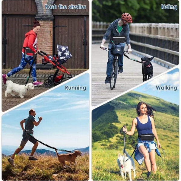 67970034df7cb69f Hands Free for Running Walking Reflective Leash with Waist Bag Retractable Elastic Belt Dog Traction Rope Pet Products