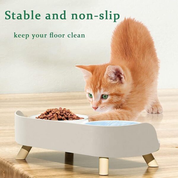 15°Elevated Cat Food Bowls with Silicone Pet Mat, Double Raised Cat Transparent Plastic Bowl with Stand, Stress-Free Suit for Cats and Small Dogs, Anti Vomiting cat Bowl, Cute Cat Face Bowl