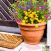 6a7ea0295a893293 12 Bundles Outdoor Artificial Fake Flowers UV Resistant No Fade Boxwood Faux Plastic Shrubs Plants for Garden Patio Porch Window Box Home Wedding Farmhouse Hanging Décor