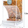 6aacb3c7a4f38c13 Rypet No-Mess Bird Feeder - Parrot Integrated Automatic Feeder for Small to Medium Birds