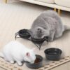 Y YHY Ceramic Raised Pet Bowls 12 oz Capacity 2.75” Height Sturdy Metal Stand, Grey