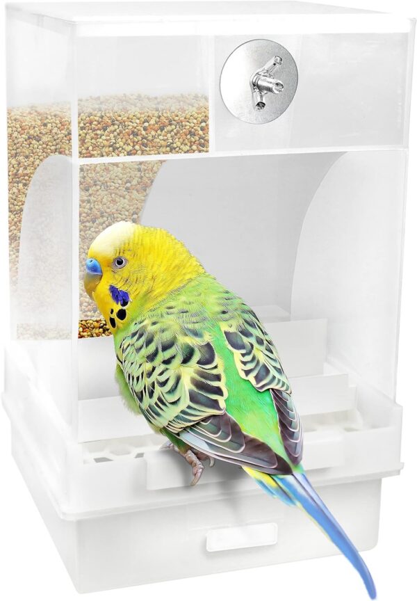 6aecc0aede4f08bd Large Capacity- Parrot Automatic Feeder,No Debris Bird Feeder, Parrot Cage Accessories Canary Parrot Bird Parrot Seed Food Container (Can Hold a Variety of Food) by Old Tjikko