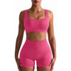 Seamless Yoga Workout Sets for Women 2 Pieces Gym Suits Ribbed Crop Tank High Waist Shorts Outfits Fiess Running