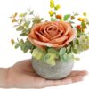 Artificial Flowers Kit with Pot, Combination of Fake Silk Orange Roses and Greenery,Small Plant Potted Decor for Offices,Bookshelf,Bedroom, Living Room,Party,Wedding Decorations…
