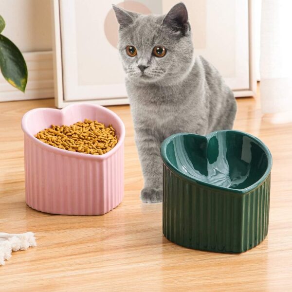 6e3157b3f201369c Cat Food Water Bowl Set - Raised Ceramic Cat Feeding Bowls with Non Slip Mat - Elevated Cat Dish Anti Vomiting - Whisker Friendly Wide Cat Bowl - Microwave and Dishwasher Safe - White & Pink (2pcs)