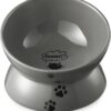 6eabd294a08f7870 Y YHY Cat Bowl Anti Vomiting, Raised Cat Food Bowls, Tilted Elevated Cat Bowl, Ceramic Pet Food Bowl for Flat Faced Cats, Small Dogs, Protect Pet's Spine, Dishwasher Safe