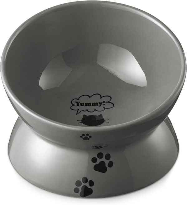 6eabd294a08f7870 Y YHY Cat Bowl Anti Vomiting, Raised Cat Food Bowls, Tilted Elevated Cat Bowl, Ceramic Pet Food Bowl for Flat Faced Cats, Small Dogs, Protect Pet's Spine, Dishwasher Safe