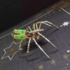 DIY Mechanical Spider Metal Model Kit 3D Puzzles Cyberpunk Insects Assembly Creative Handmade Metal Puzzles