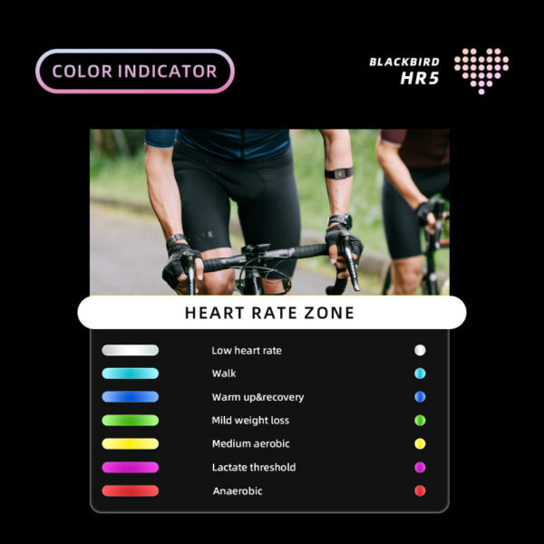 6f7d8a7109c68b76 Blackbird HR5 Armband Heart Rate Monitor Arm Hand Strap Sensor ANT+ Wireless Fiess for XOSS IGPSPORT Cycg Bicycle Sports