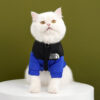 7079ecdaf5dabe78 Pet dogs, cats, clothing for autumn winter warmth, cotton down jackets, teddy large, medium, and small dogs