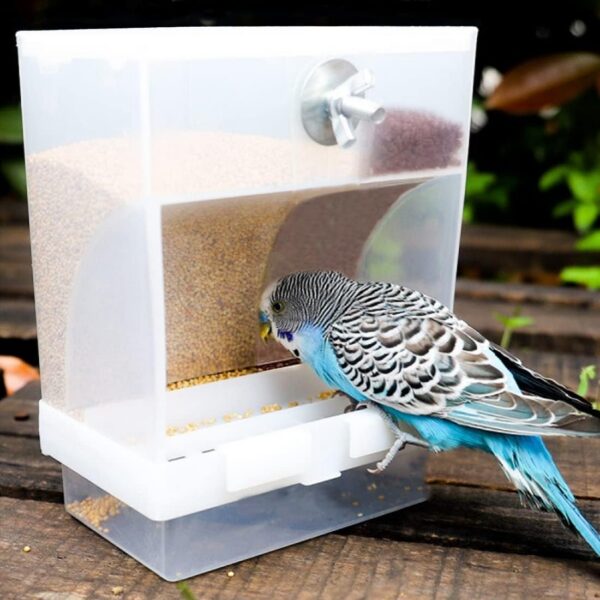 70b287196536f783 Large Capacity- Parrot Automatic Feeder,No Debris Bird Feeder, Parrot Cage Accessories Canary Parrot Bird Parrot Seed Food Container (Can Hold a Variety of Food) by Old Tjikko