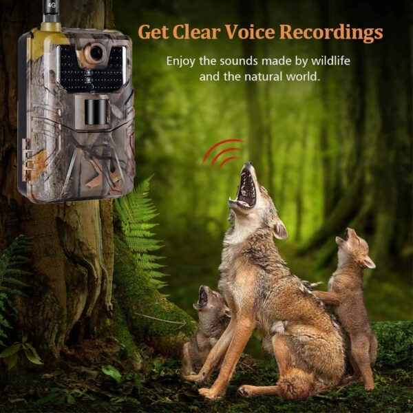 71d6164189f0e1c8 Hunting HC-900pro Night Vision Outdoor 4G with App Remote Control Trail Camera 4k Video 36MP Photo Live Show Wildlife