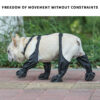 71e502df9f6d8b3d 1set Waterproof Boots Small Puppy Medium Large Dogs Pet Booties Anti-Slip Dog Shoes Rain Snow