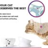 Y YHY Raised Cat Food Bowl Set, Ceramic, Tilted Elevated Bowls, 2 Bowls, 3.6 in & 3 in, White